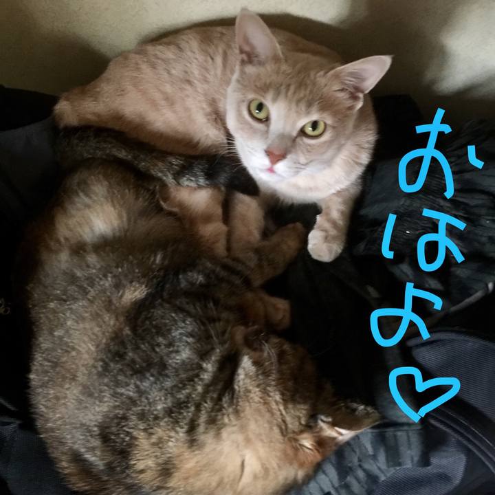 176f4016 cceb 4185 ba6a 68d3bc399ee7