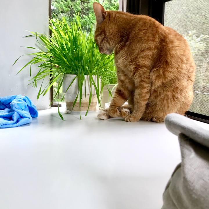 176f511f 75b3 4285 b088 ba14c22c847f