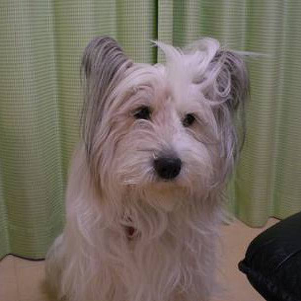 176f7581 b92d 456a 8e68 4d44ded52d83