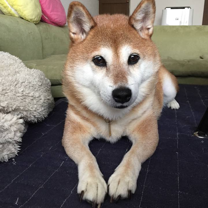 176fd135 de0f 42a6 9f83 e2edda062e55