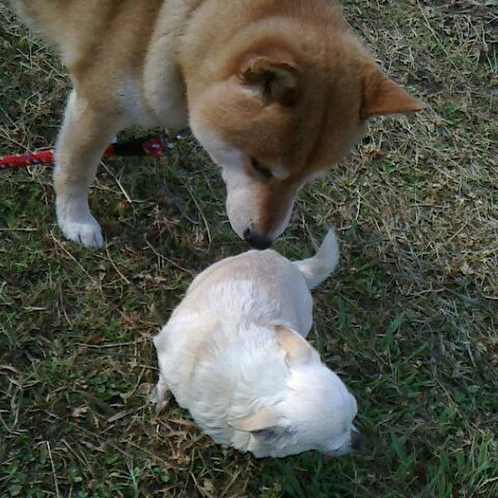 1770472d 7420 4a96 b3eb 8e594c526958