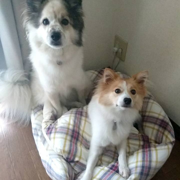 17708bdb b3c5 4a47 82dc 360e8234ee53