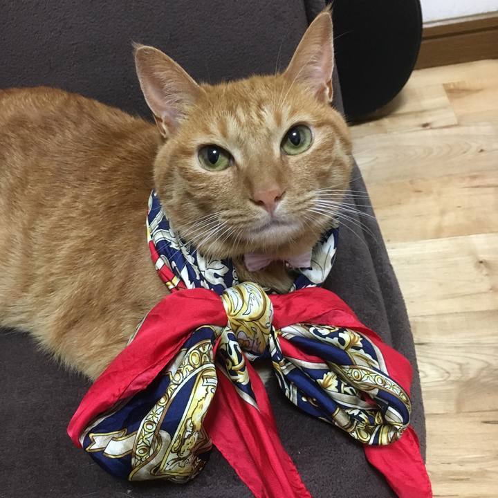 1770ab96 b9eb 44a9 ab7e ad472883b0bd