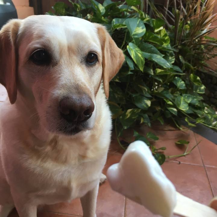 17718eaf 5a6a 4033 9cfe 3ca38ec7a72f