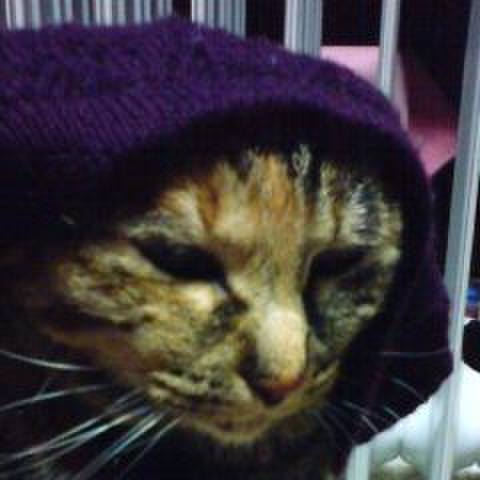 1771a474 b580 412a a901 3d8fe5dfbd75