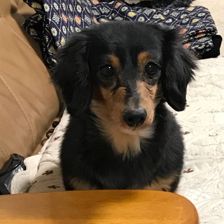 1771a79d cc52 43e8 a7fa ee7e18cc5070