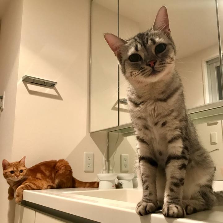 1771be6e 4736 455e befb aa0185a2d736