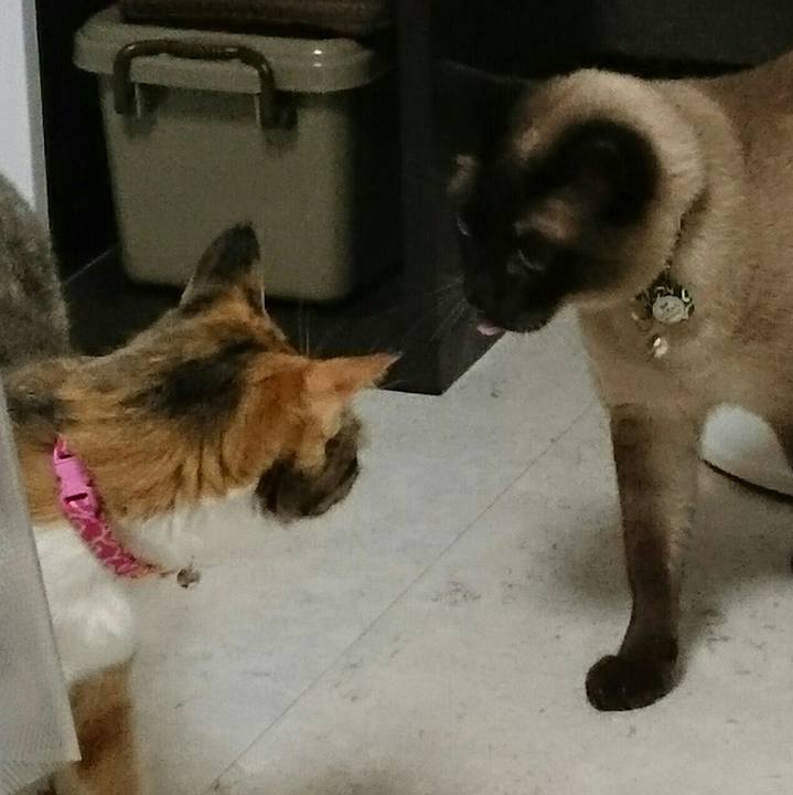 1772cb26 6eee 427d 9a37 c6c337ddd27a