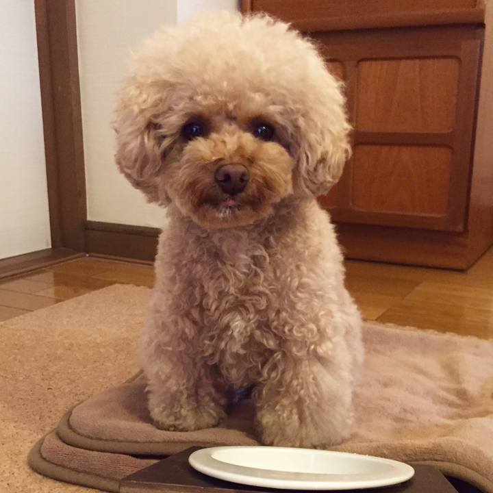 17730d23 6316 4d96 9002 f74852457a28