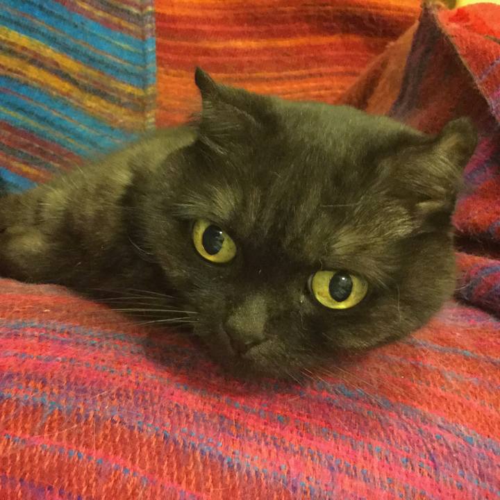 177316ff 06bb 4614 bf64 e59c58c631f5