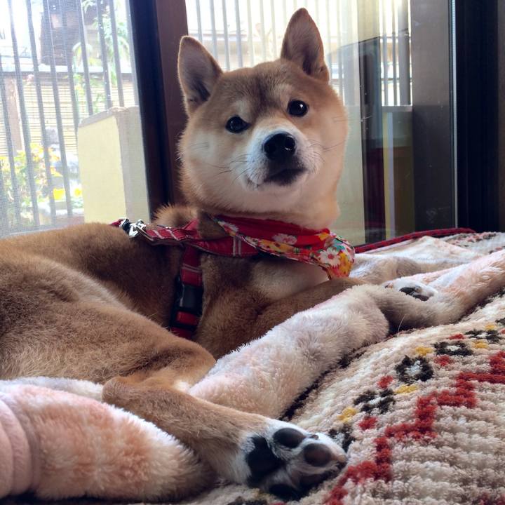 17737939 47e4 4e54 85aa 0b339ff6f555