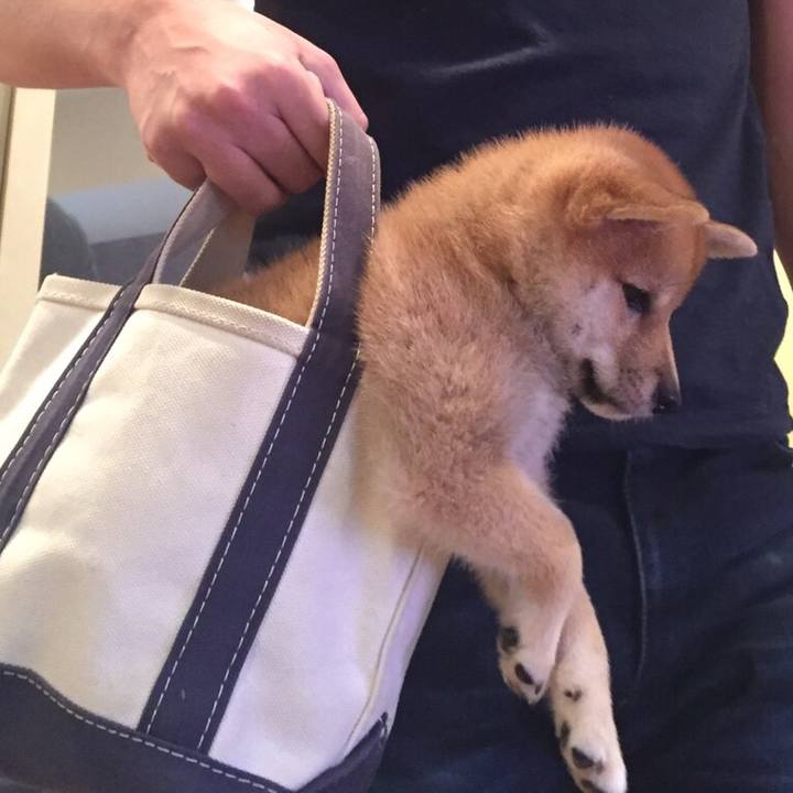 17738049 6cea 4c8d 859c c7f5d88c46e9