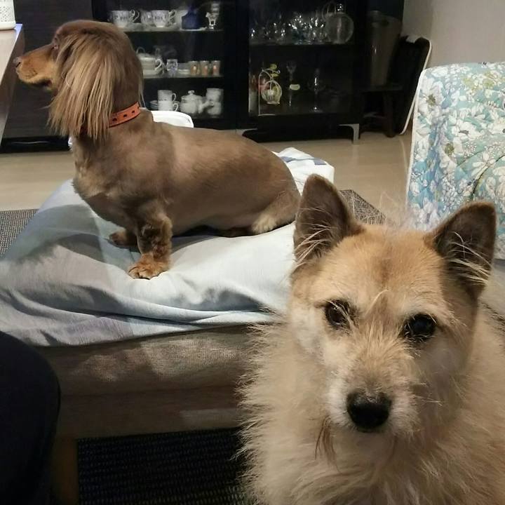 17741b39 cff6 4db6 8363 632fc6333ac1