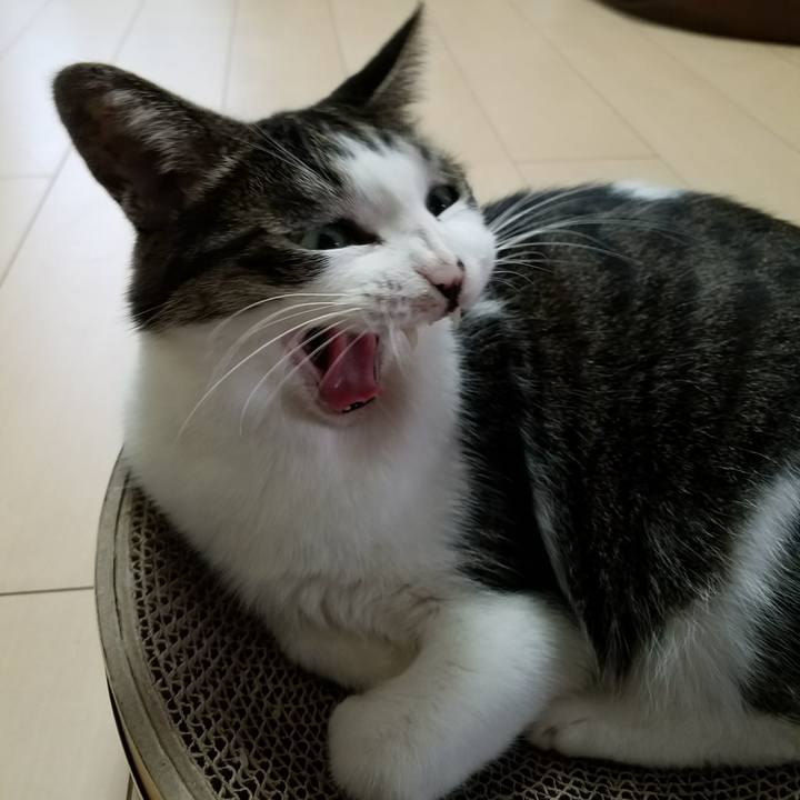 1774fbef 308f 4cdc 8c21 44ad747dfdaf