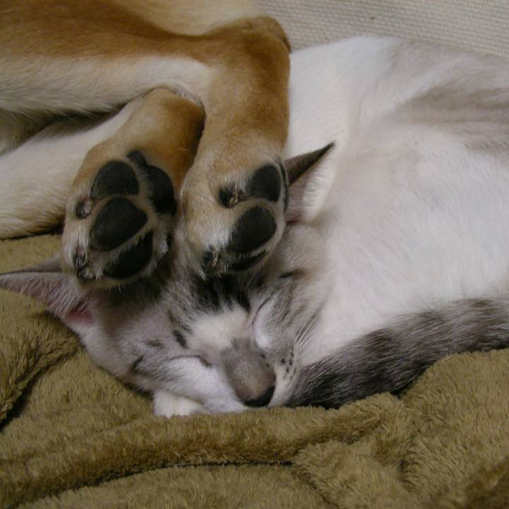 1775117b 99fb 4d4c b9db 25001d61ca1d