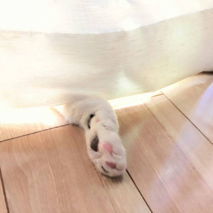 177533cf 0822 4f1e b4b0 5c56c4e1f0f9