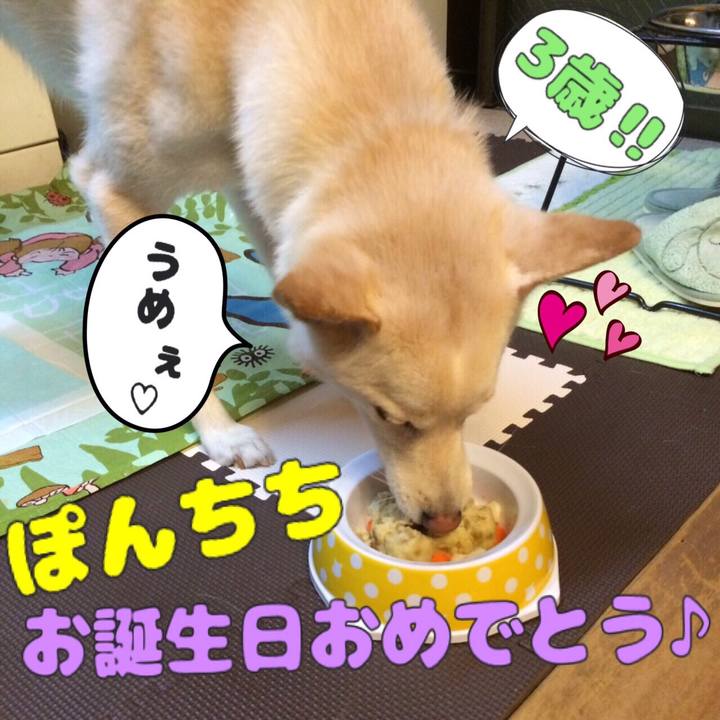 177542b9 7ed1 412d a24f 8cf2e19cef67