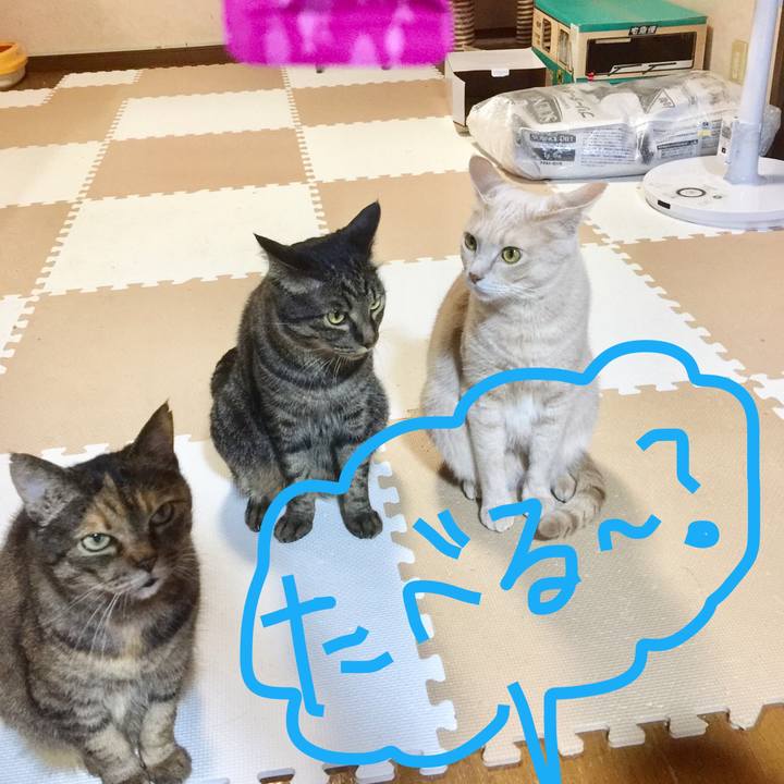 17760117 f94d 4f2e 8d90 4d514e80d16b