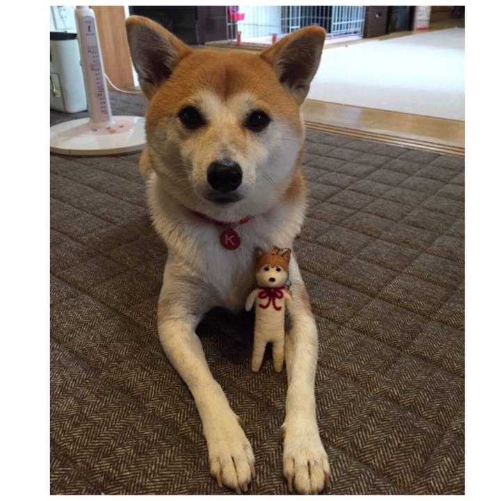 1776028f d247 4548 bf24 bc085f8fae4e