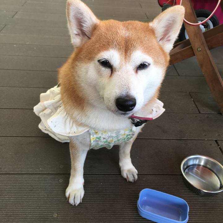 1776151f 0e55 42b8 b7e8 aa207d38cf2f