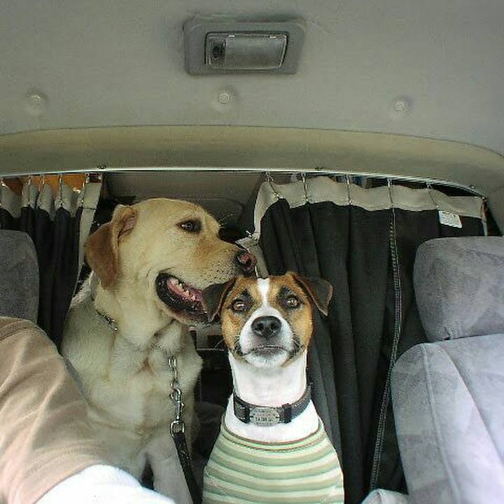 17769d4c a964 4c9d 8c06 a3a9a6630fb3