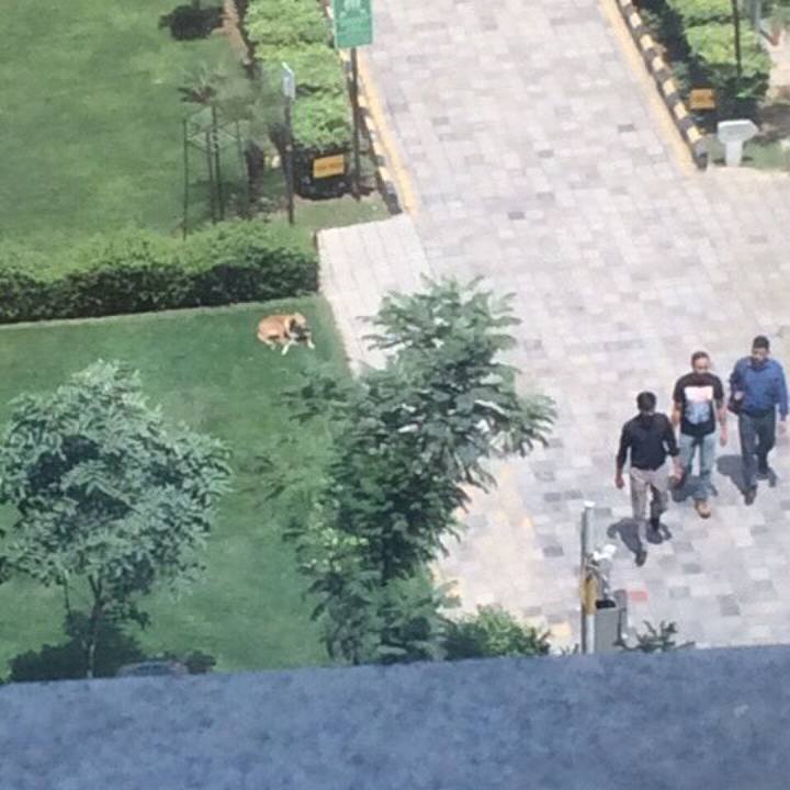 1776e393 b6b5 4fff b5a8 008e50833116