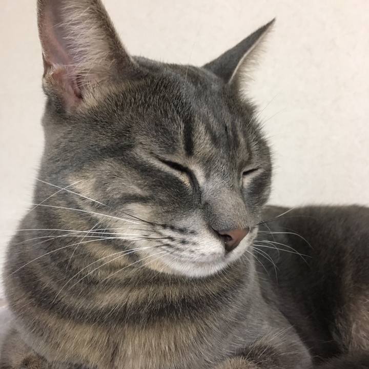 17771c49 da49 4fca b5ed cd5200fafc5b