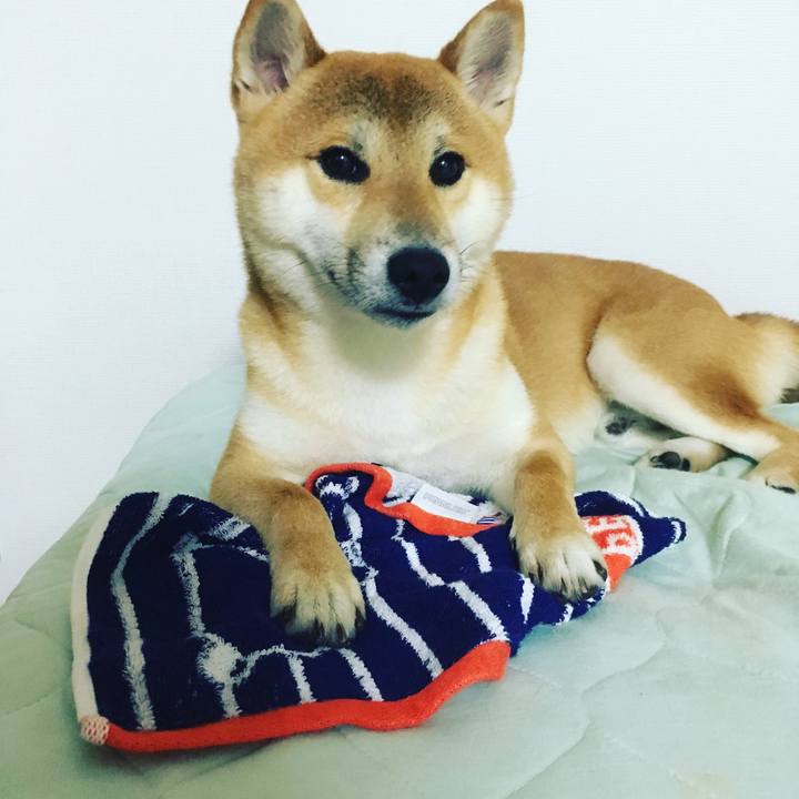 17777fc9 4193 4f17 983f 8d6f1737a9e6