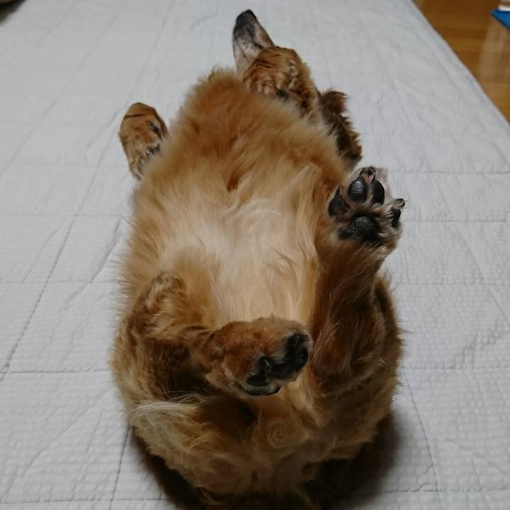 177791bb a659 4b01 8dec 3e6ae466ceef