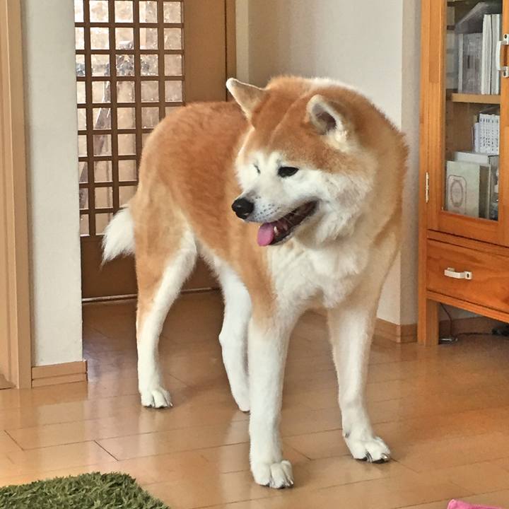 1778a799 3ba0 4ffb b696 24baca63b413