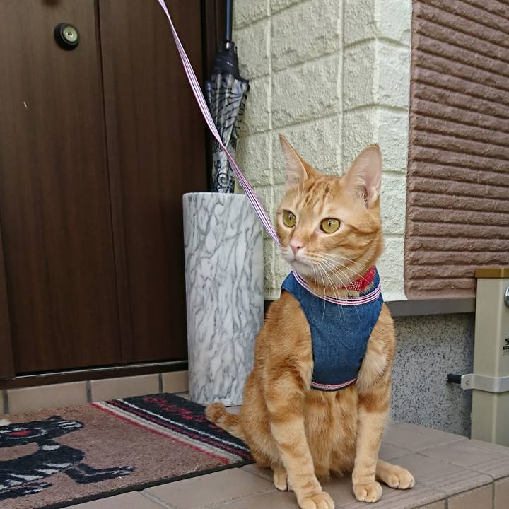 1778f30a c4de 473d 9c72 b305c259ef80