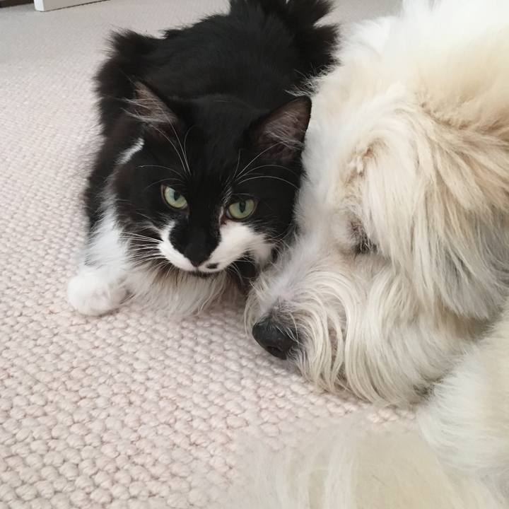 17798909 87be 41d8 a5a7 04c093b3d0d1