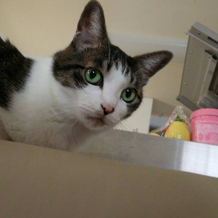 177b6965 b5f5 479e b0d3 74c42fc38829