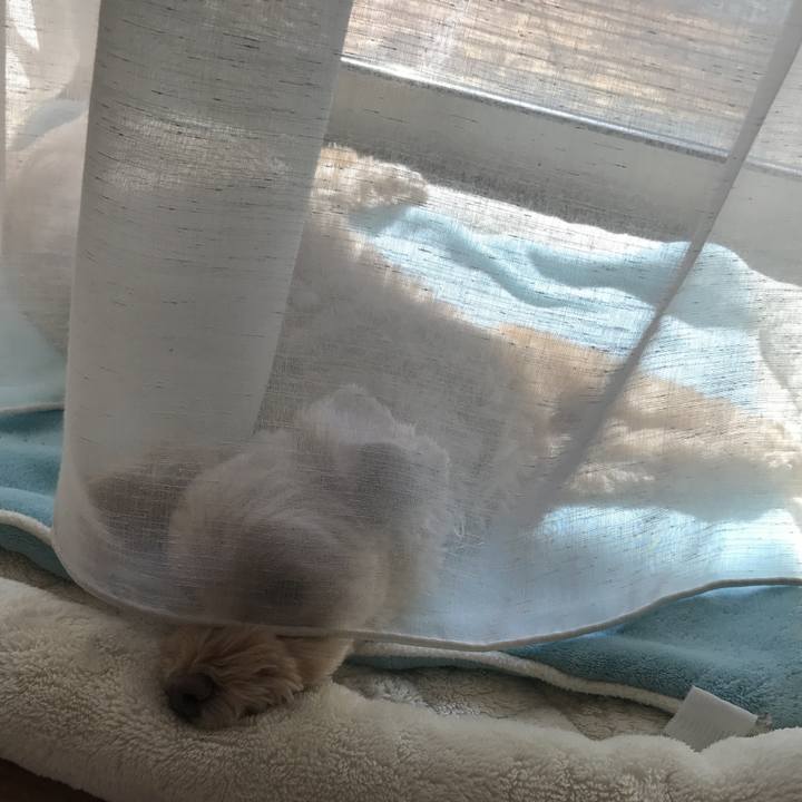 177b8ff9 fcb5 463a bb80 d46fe39866c1