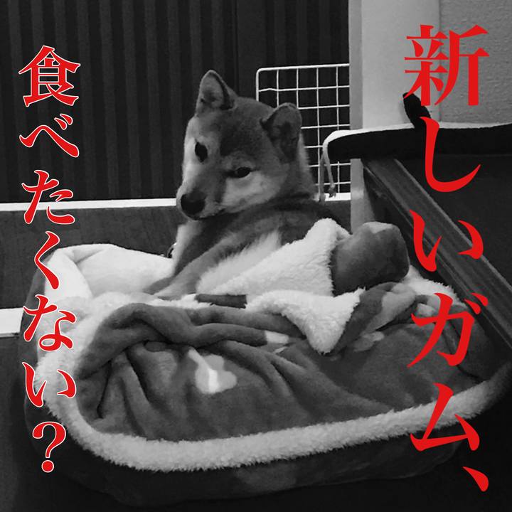 177c0853 7eab 435e 858e b6d41593eb59