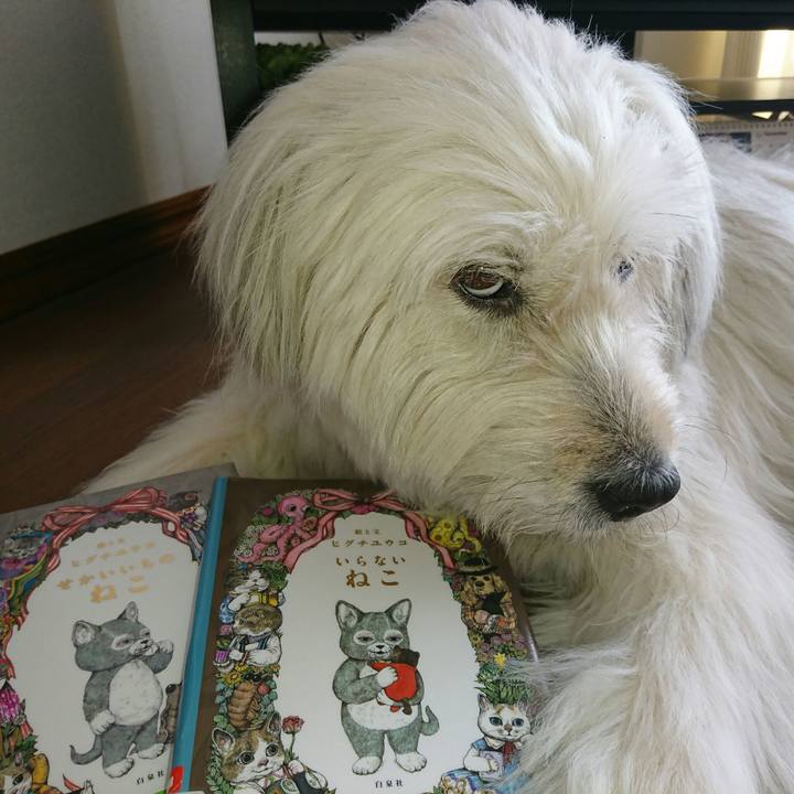 177c94dd 206a 4127 9d9f 51d2bd5283e2