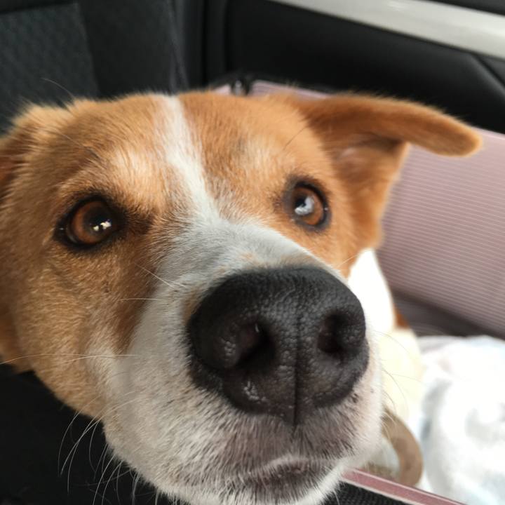 177c9e95 b484 4af7 8c8f 99468b422162