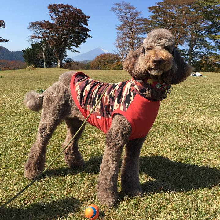 177cac28 1c2a 49cc 81e8 229270e78f92