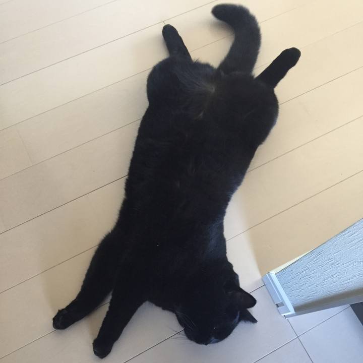 177d84bc 5d5e 44c9 9957 15e3fdbc31a3