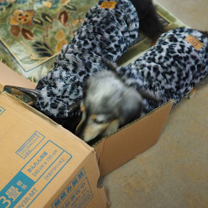 177df90e fe22 4be4 84a1 236f9691a554