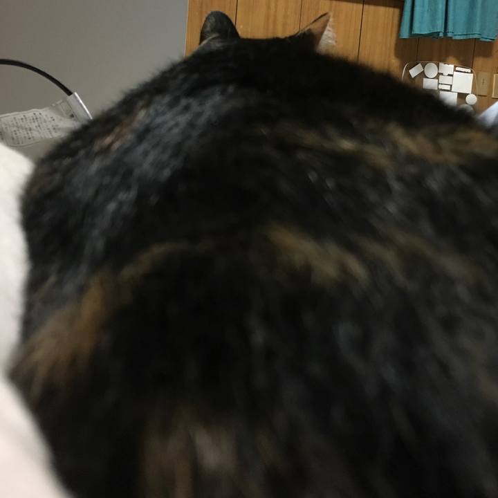 177ed231 379f 4536 a114 73e0b73163a7