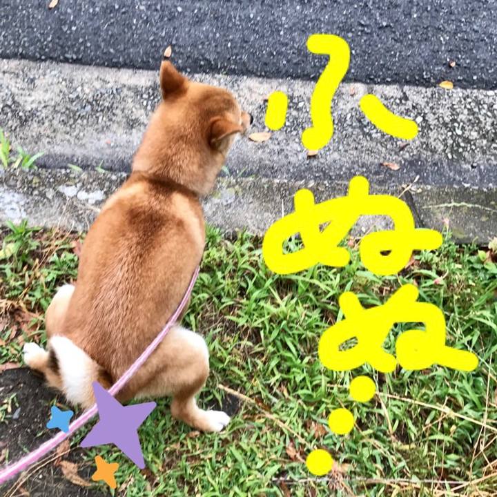 177efe93 1cc9 411a 9760 bb8f0b5f7ae1