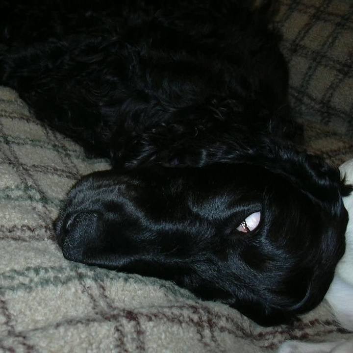 177f012a 2500 418c bba9 b0ec006f17f1