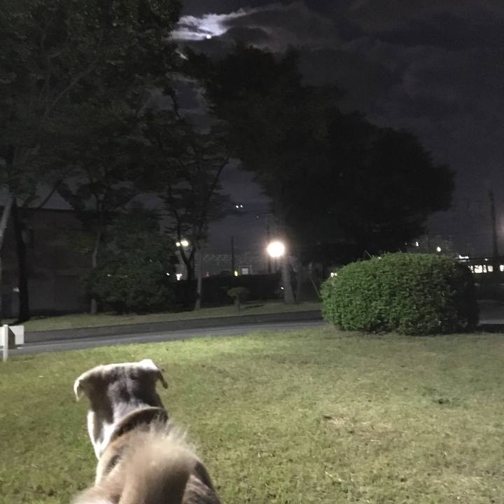 177f775d b1b6 46cb bc06 aeb988dfa442