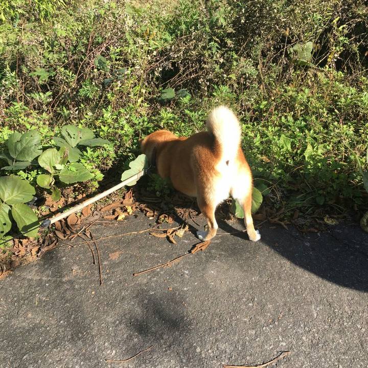 177fa247 6b33 4f05 a56c d51665325b8f