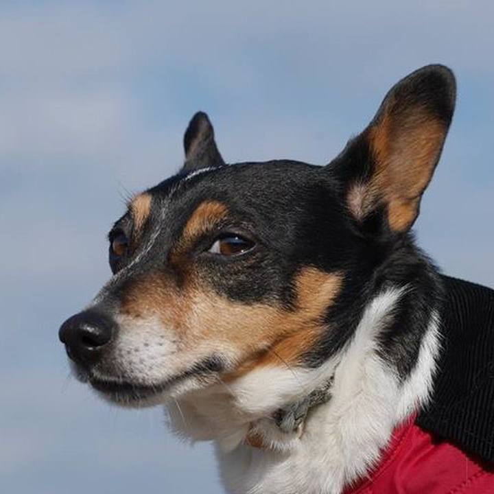 177fb4a3 15ab 41a7 a00e a12030918ba3