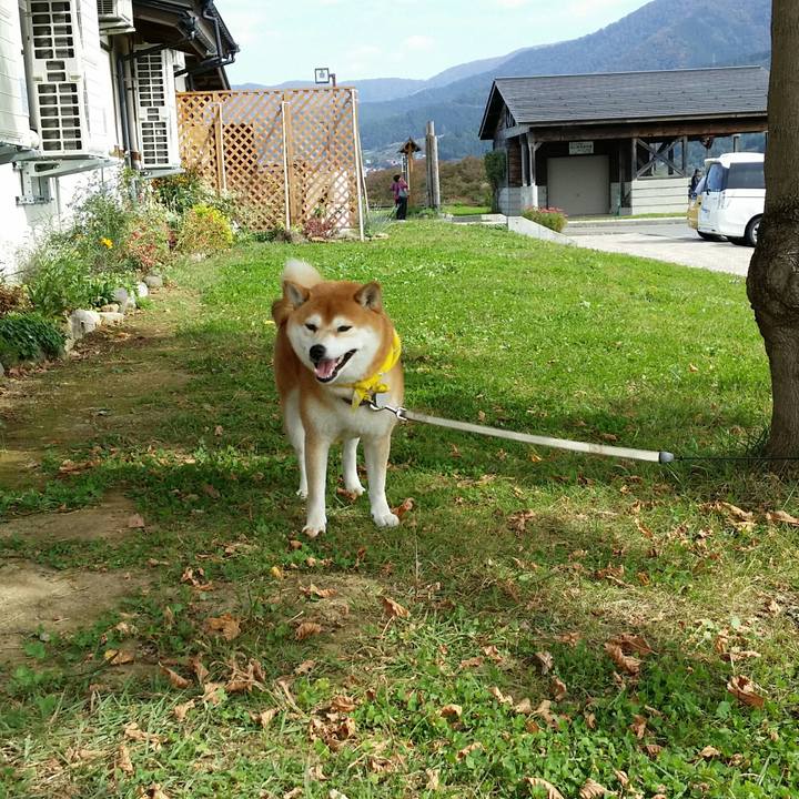 178038ac a39e 4d9c 83fc be2d3d5eff97