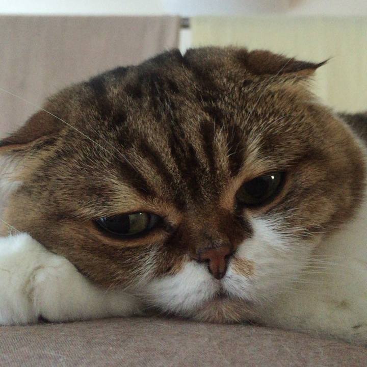 17805ce3 f1c7 423e a0f4 cbd701048d68