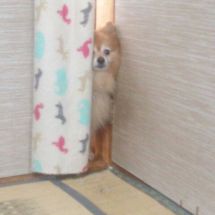 1780ee70 243f 4130 81de 6e814c557318