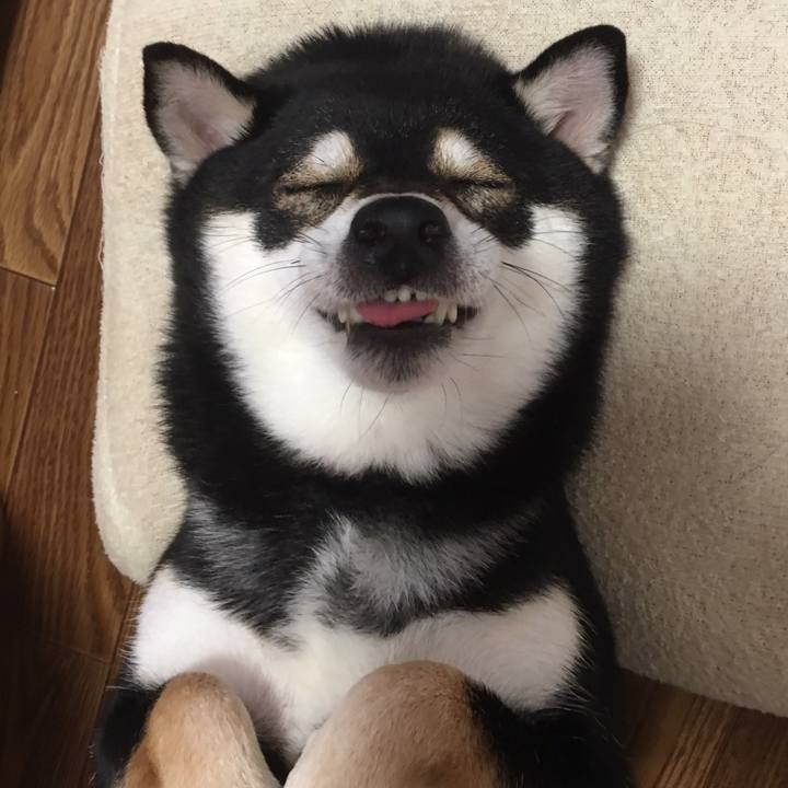 17827771 79b3 4060 b61a d56e856e3be8